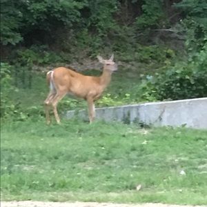 Meet your Posher, Tania